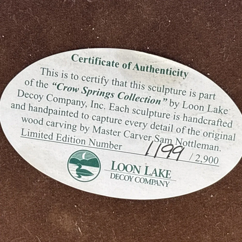 LOON LAKE DECOY 